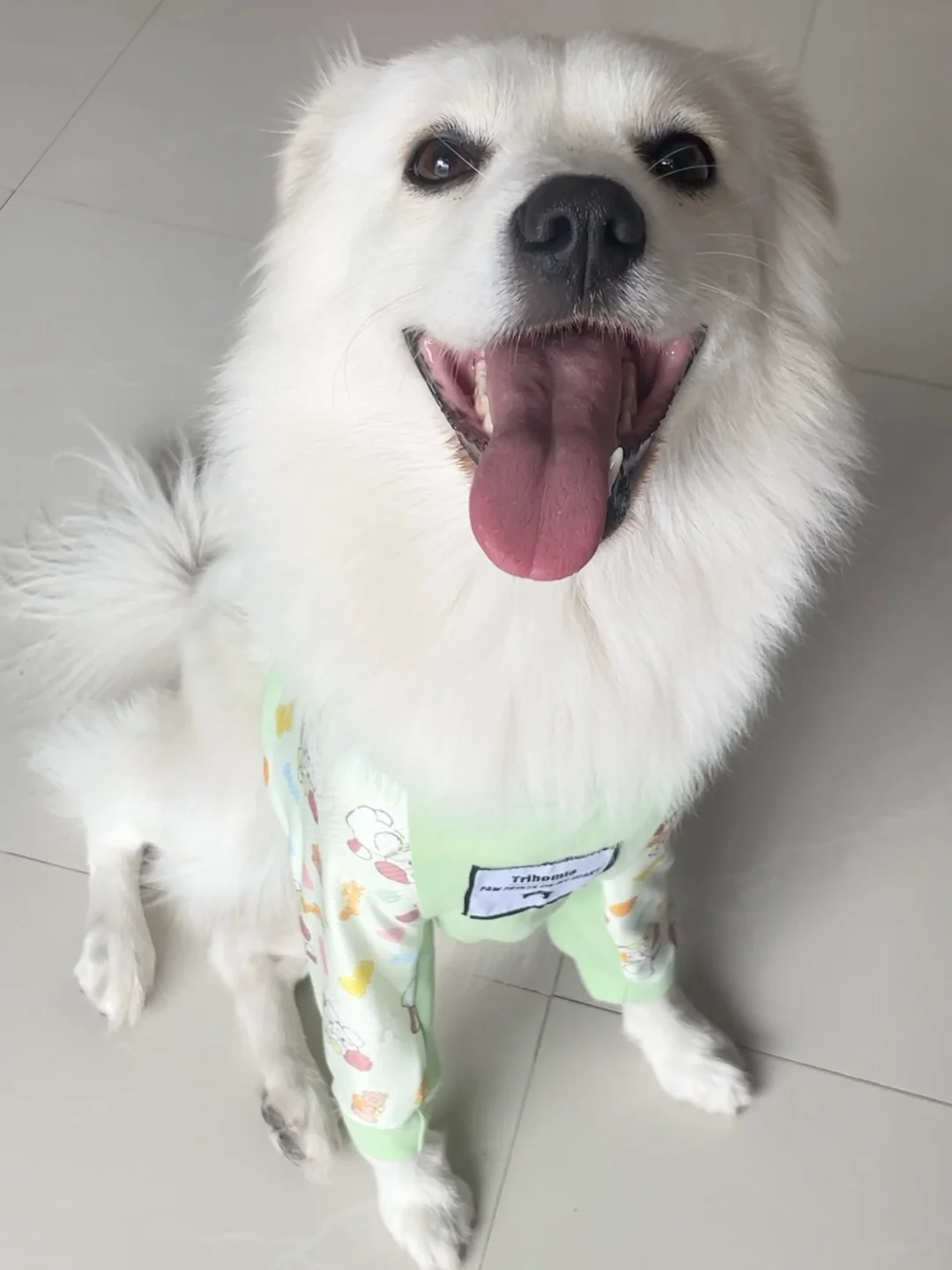 穿上新衣 坐姿都妖娆了