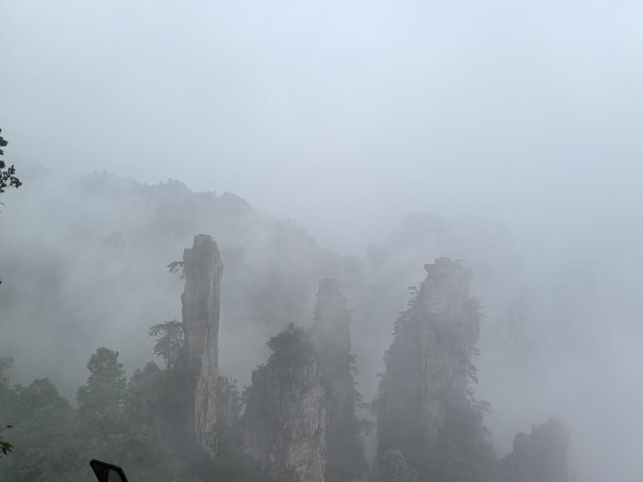 雾起时，尘世远；云散处，仙境现
——张家界十里画廊

[心][心][心]

雨后