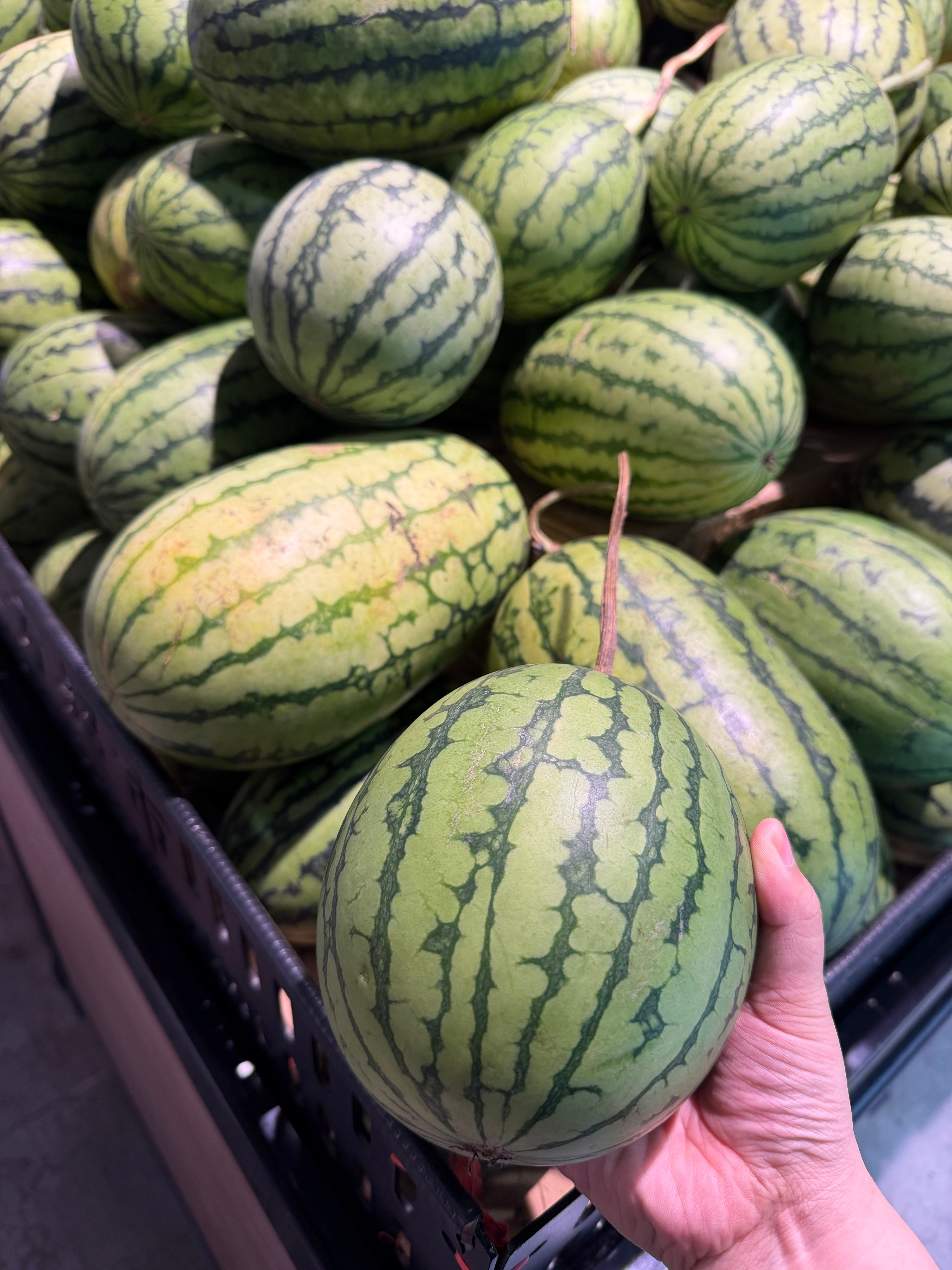 小西瓜 