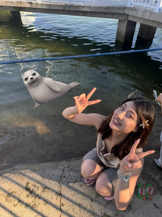 海豹在哪里捏🧐