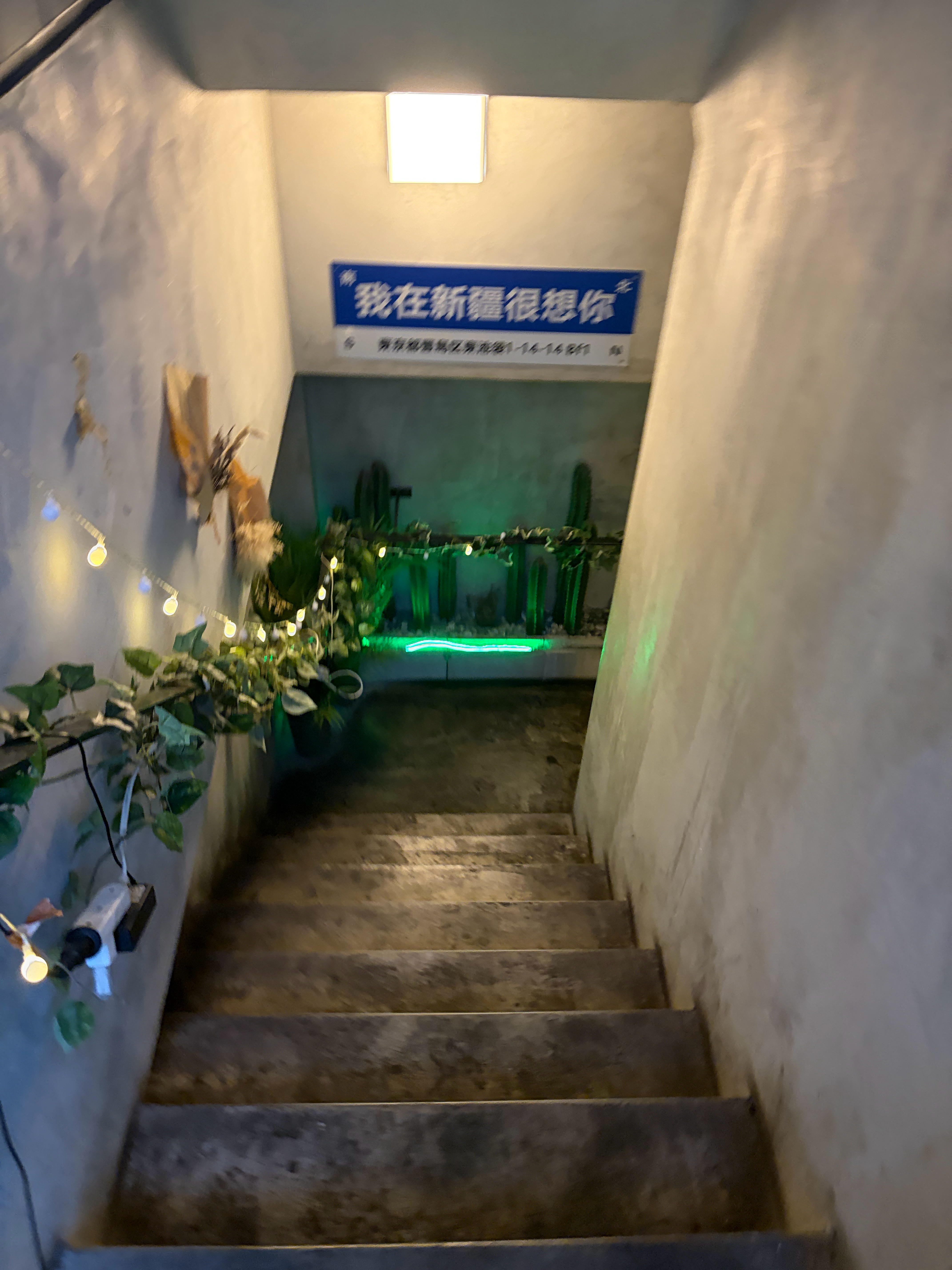 分享图片 