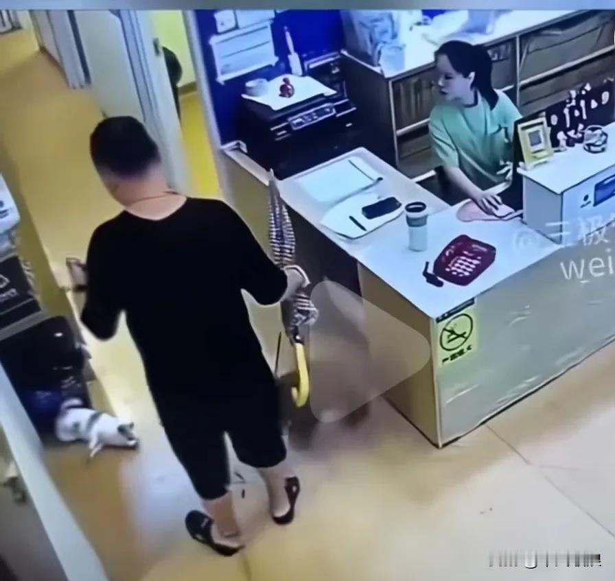 一位中年男子牵着自己心爱的狗走进商店，走到前台拐弯的地方时看到了另外一只小白狗。