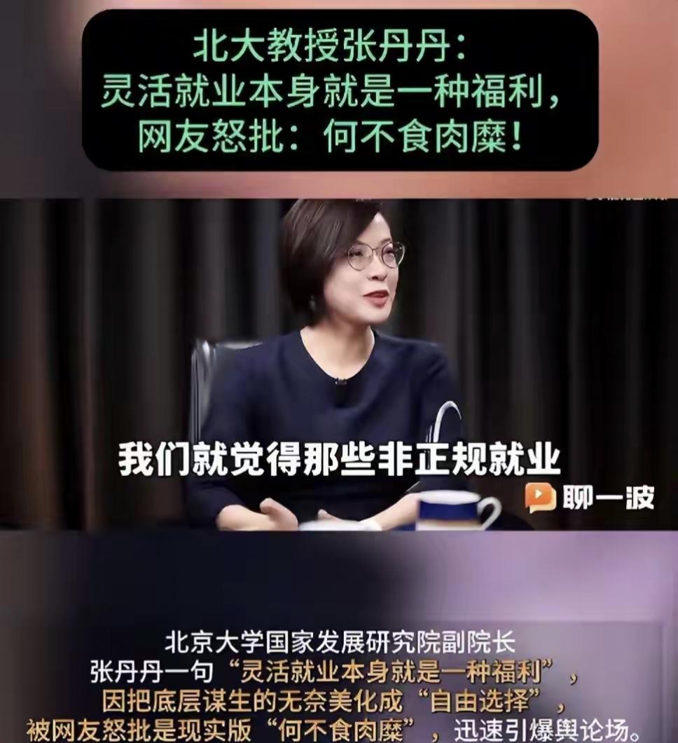 新时代“何不食肉糜”，北大张丹丹教授说，灵活就业就是一种福利
北大张丹丹在《聊一