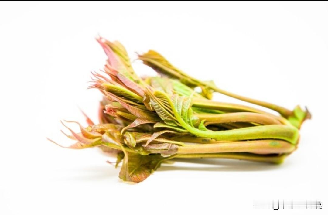 你会花30元一斤买香椿吗?我不会，可是我老伴会在香椿刚上市时，毫不犹豫地买100