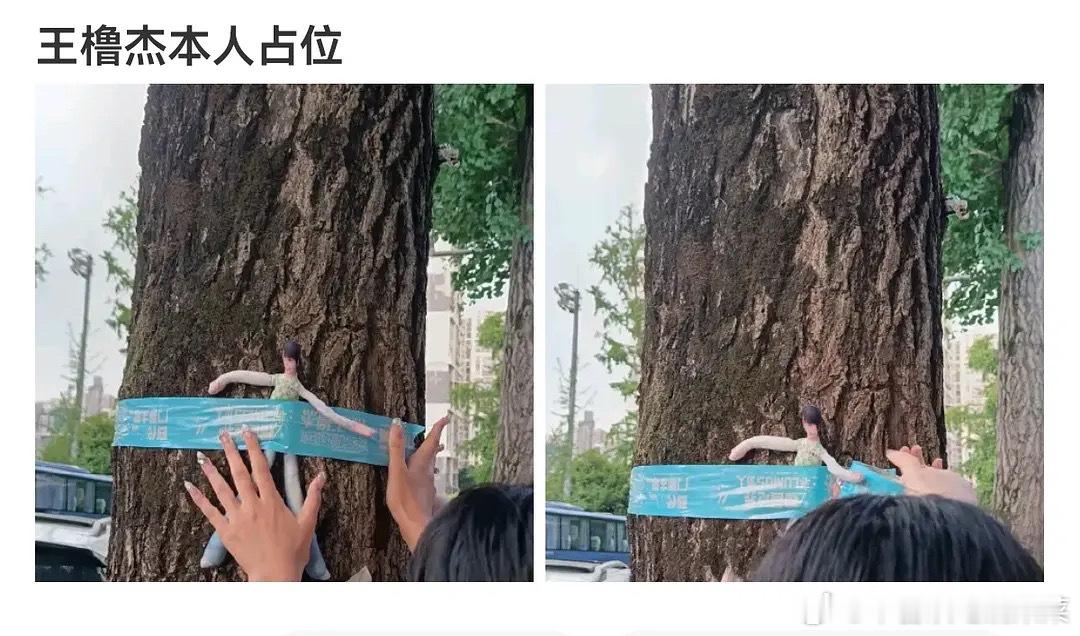 tg王橹杰本人来占位了 ​​​