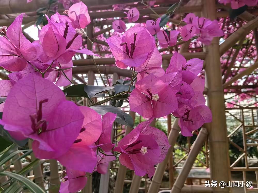 到了医院才知道，在医生护士的眼里，男人女人的私处都只是人体一个器官而已。
因为前