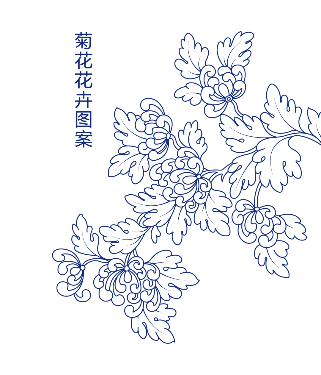 菊花花卉图案