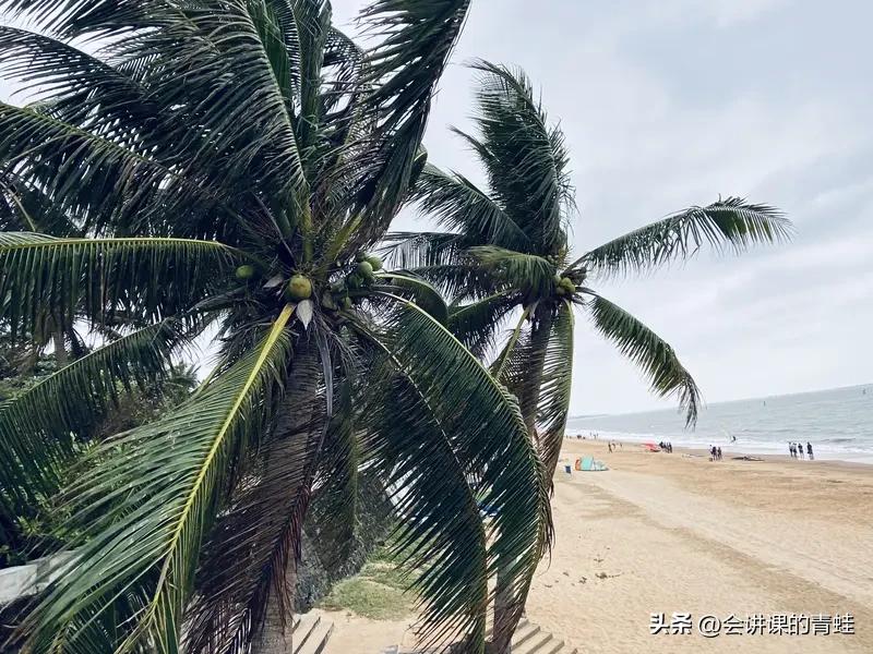 海南风景是不是很美很美，美到极致。椰风海韵热带风光，海南归来不看海。