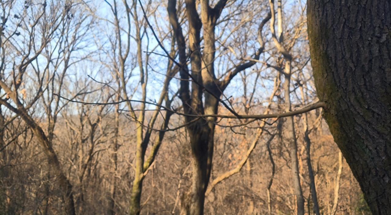 户外大冒险go
📍南京 沃普·紫金山探险营地
丛林探险趣意浓，冬季暖阳沐身融。