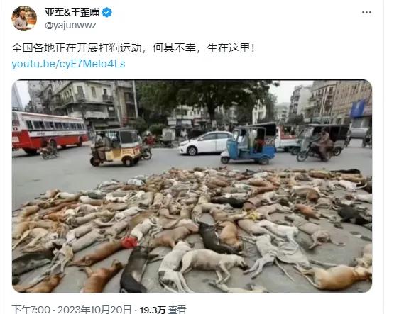 最近因为四川成都罗威纳犬咬伤两岁幼童的不幸事件，国内很多城市都在开展对流浪犬和出