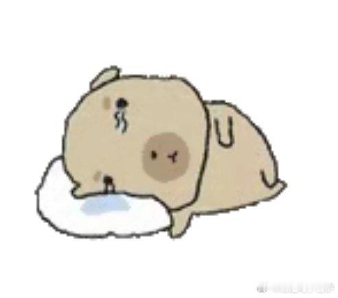 明天体测我就这样 