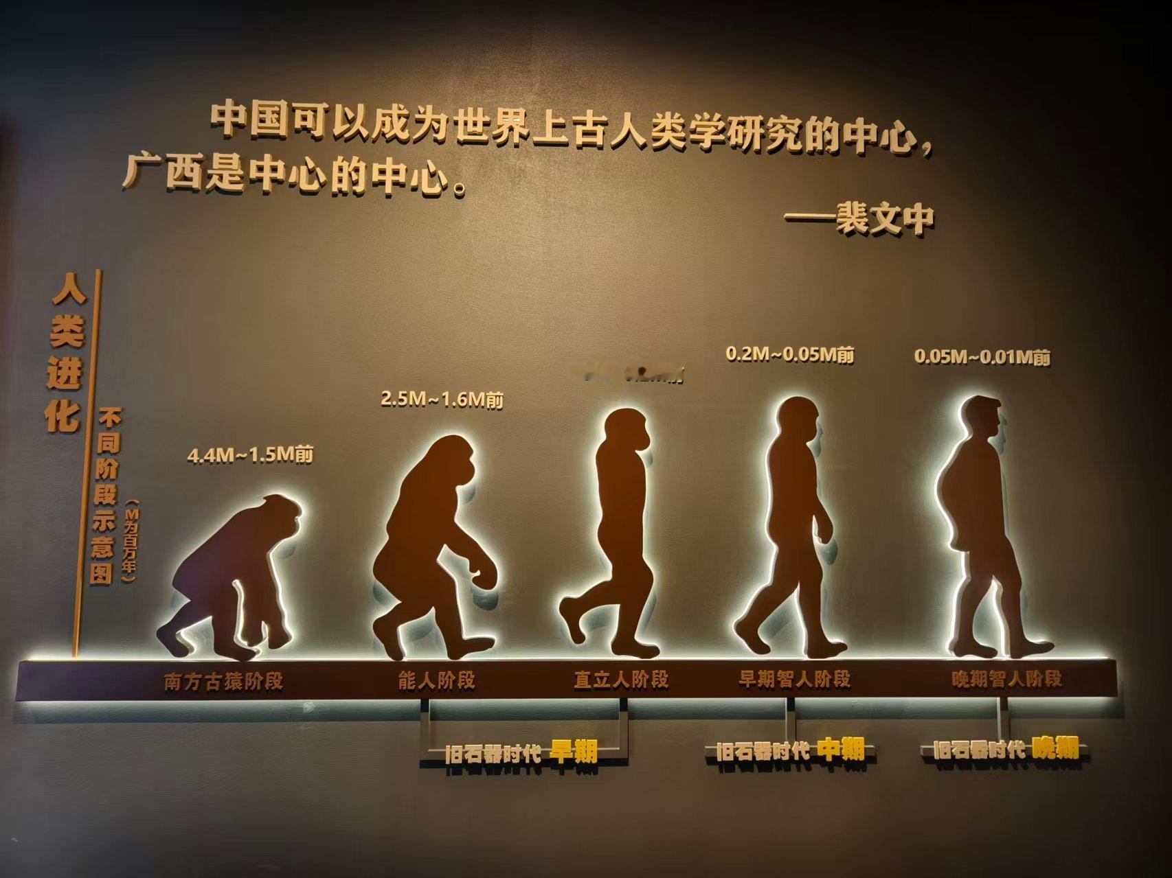 这几年我越来越体会到裴文中说的这句话是真理：中国可以成为世界上古人类学研究的中心