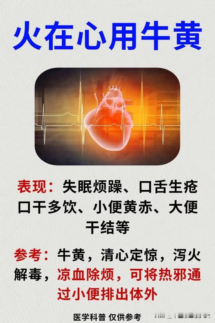 火在心用牛黄，火在大肠用大黄，火在胃用黄连，火在肾用黄柏，火在肺用黄芩，火在肝用