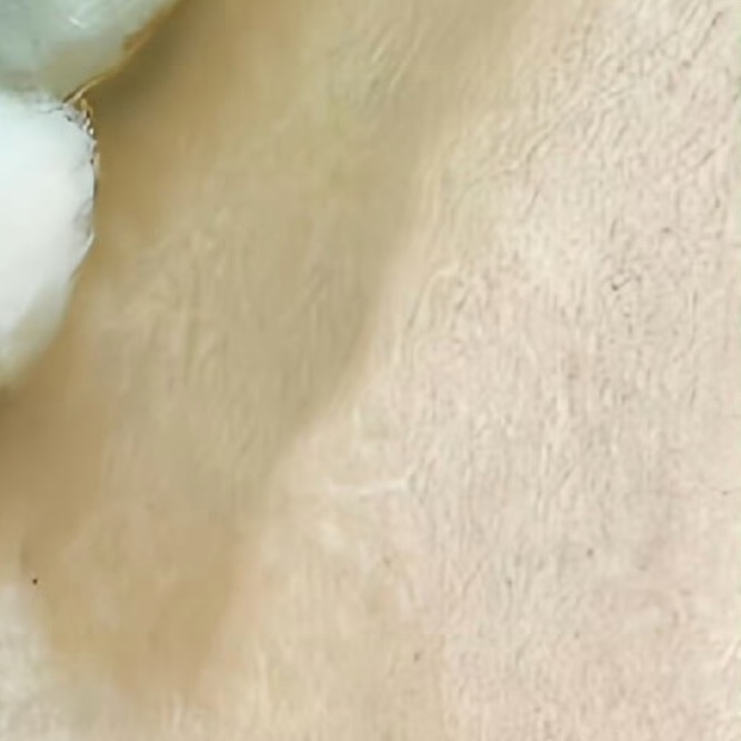 每日一善希望，如同黑暗中的一盏明灯，照亮我们锦绣的前程，给予我们坚定的信念，无畏