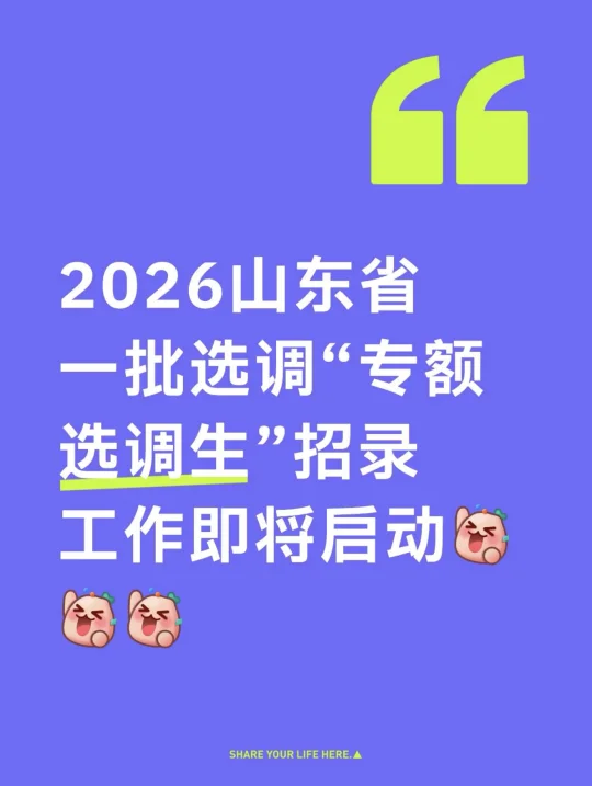 2026山东专额定向选调