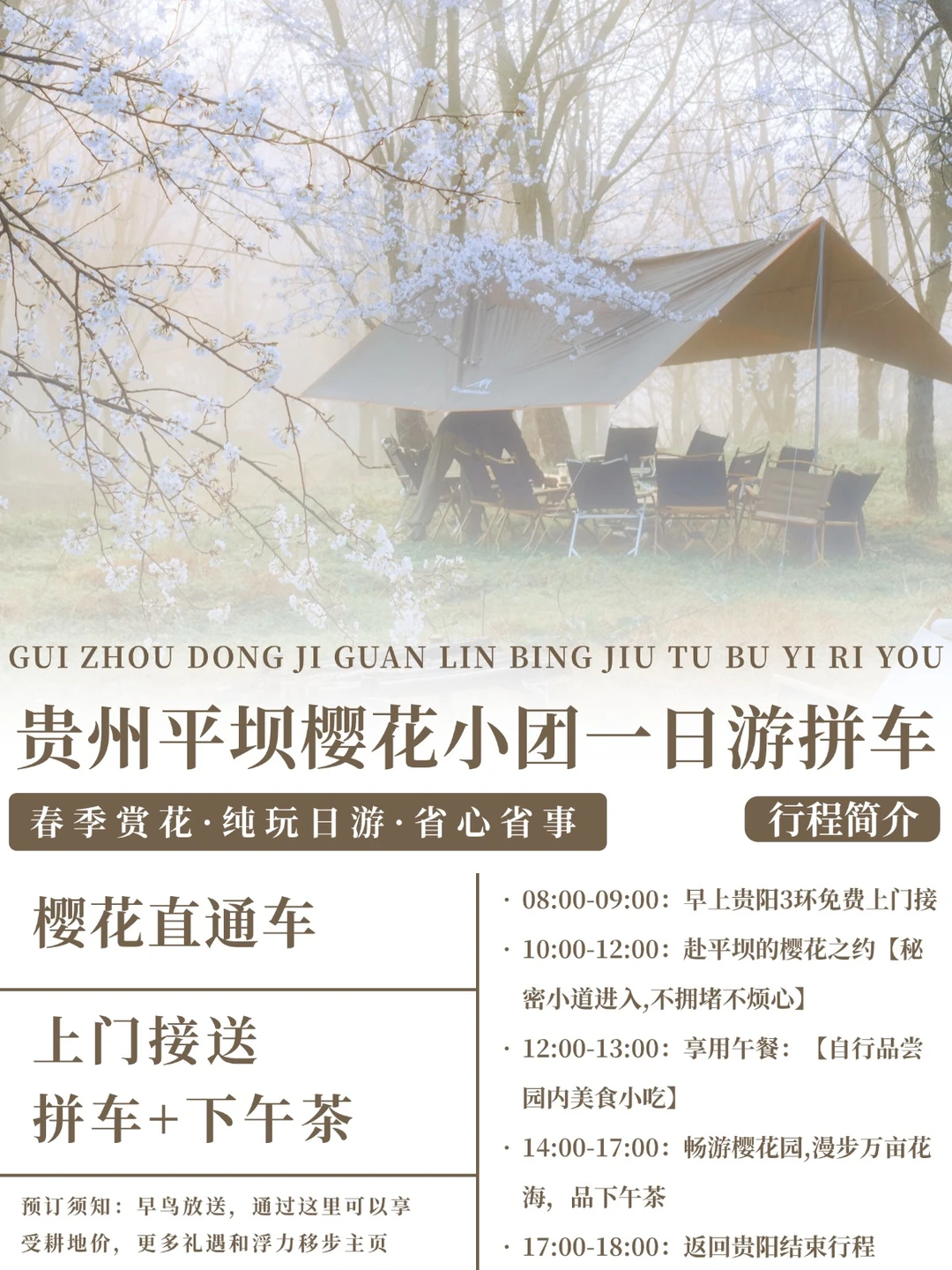 世界最大樱花园在贵州！一日游赏花攻略来了