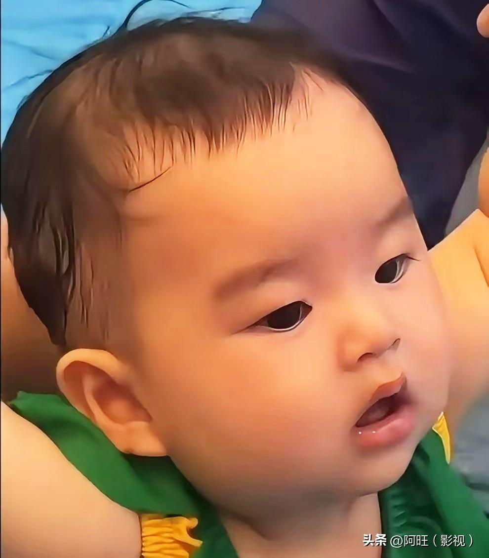 小菲的两个儿子，常常被大家放在一起比较，一个是和大S所生的箖箖，一个是马筱梅生下