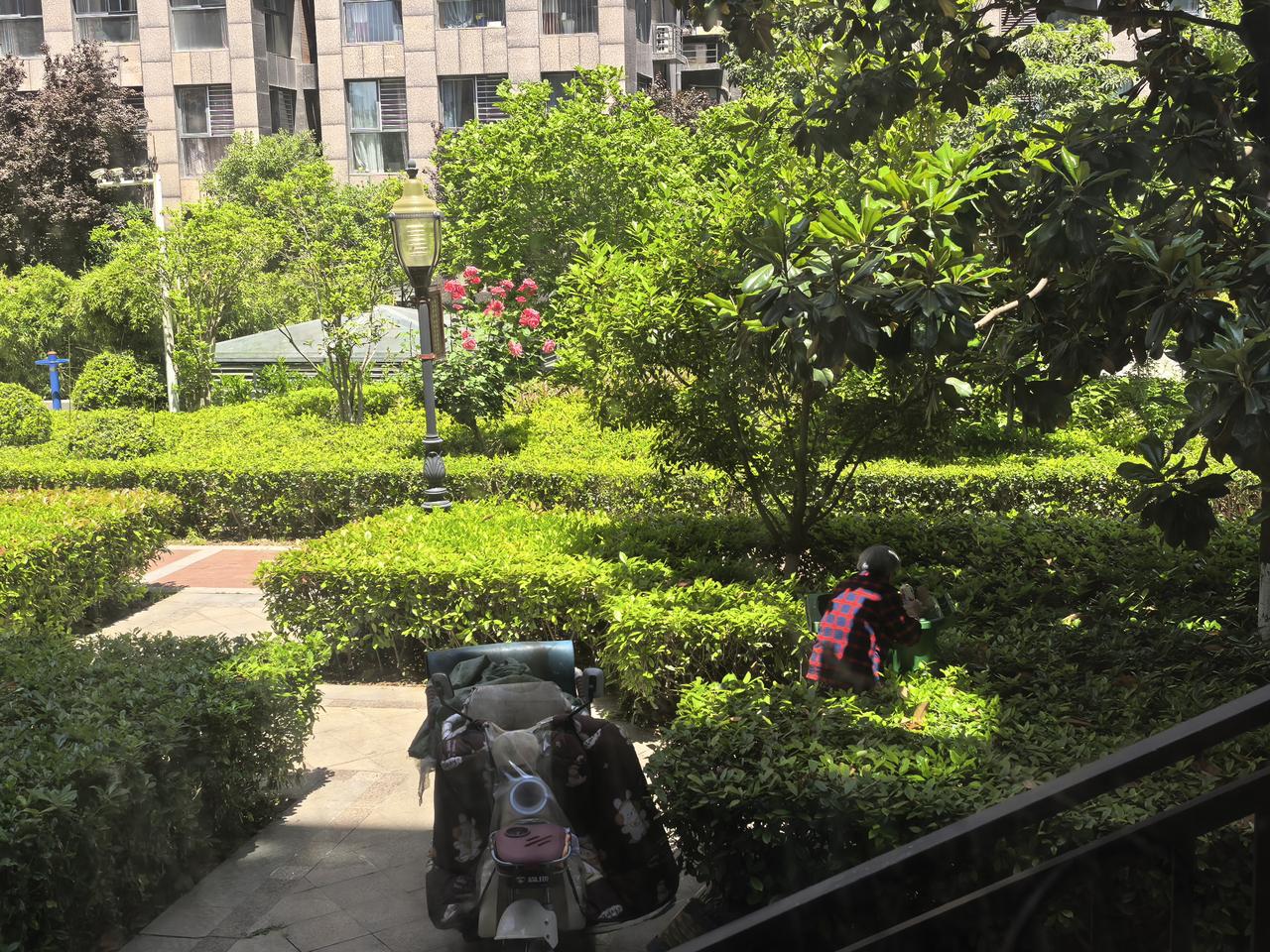 感觉现在生活挺难的，小区院子里的垃圾桶，基本上每隔一个多小时都会有人翻一遍，你走