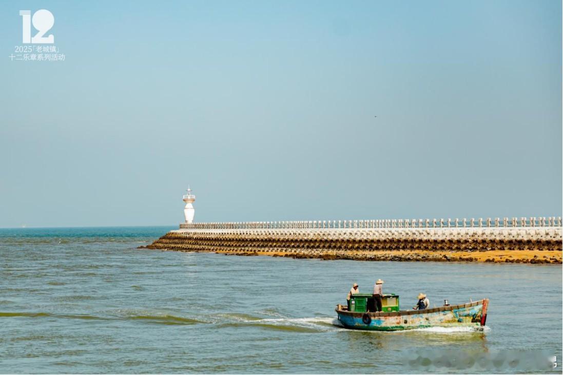 2025「老城镇」十二乐章系列活动于东水港启幕勾勒国际青年城蓝图 