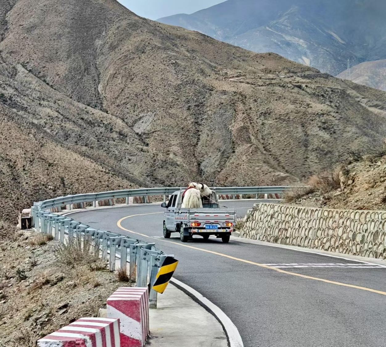 春日生活打卡季山路弯弯，载着生活，也载着远方。