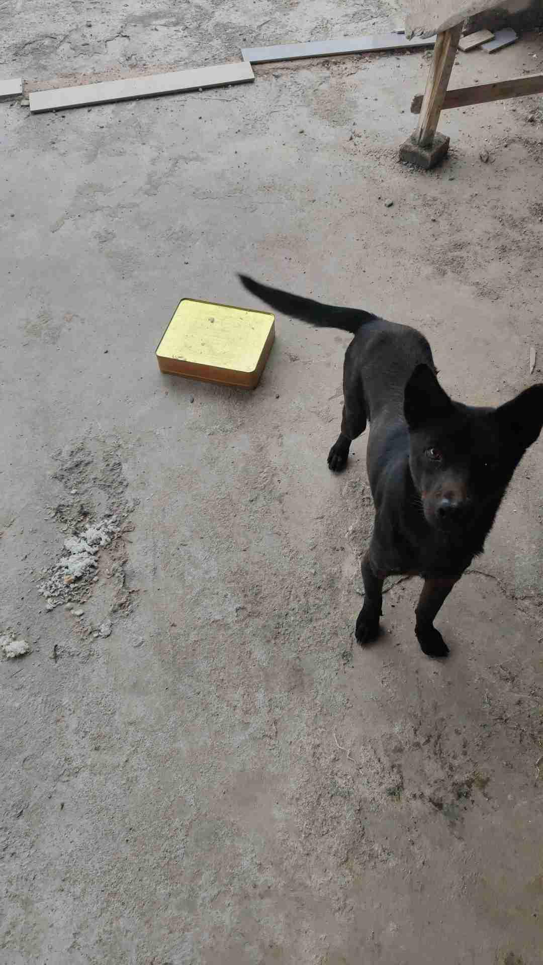 我的今日状态：😁轻松愉快逗狗狗
我这里的天气：🌈雨过天晴好心情