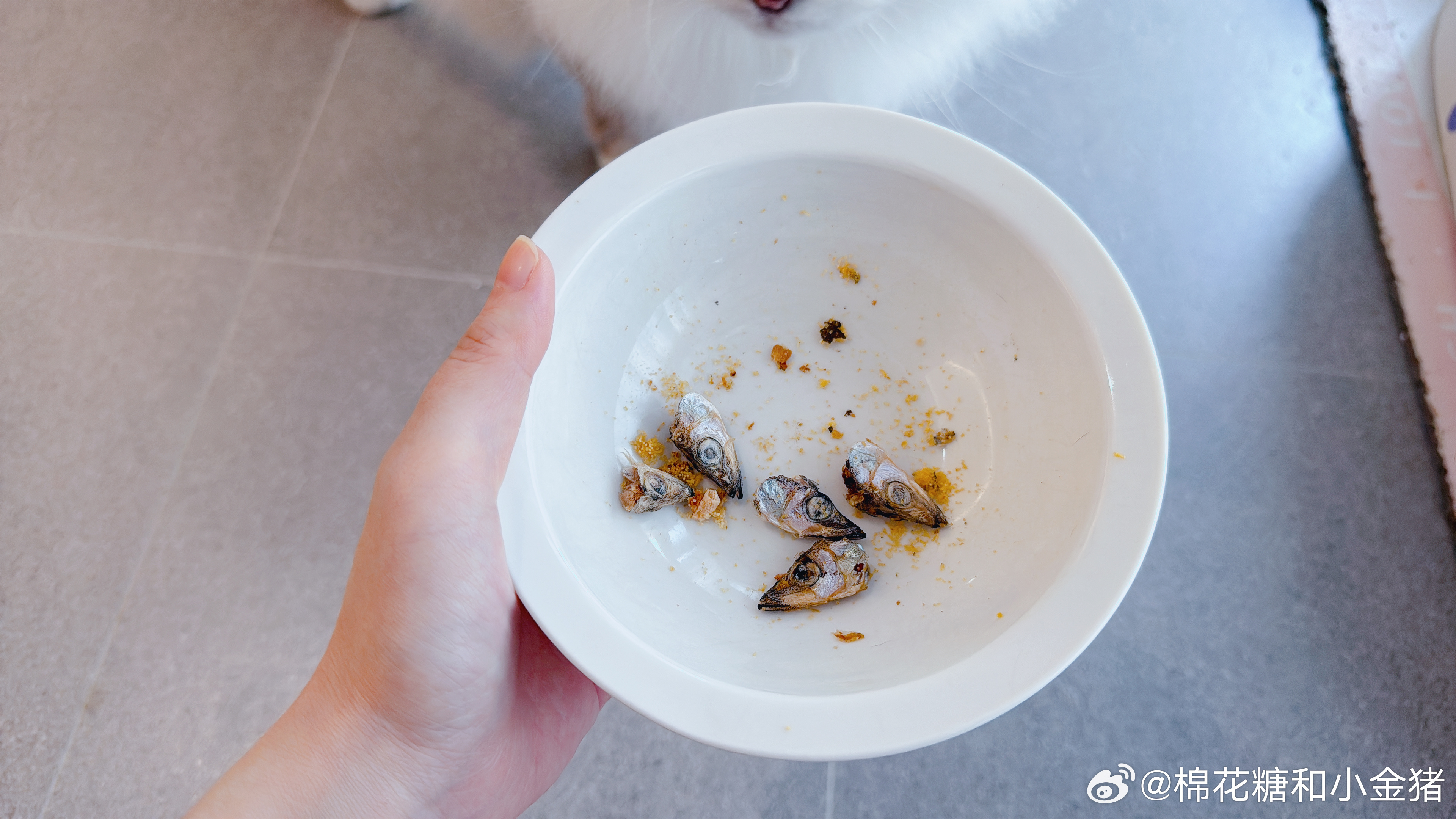 好矫情的猫，给我吃剩下五个鱼头。算了都塞给澜澜吃掉吧。 