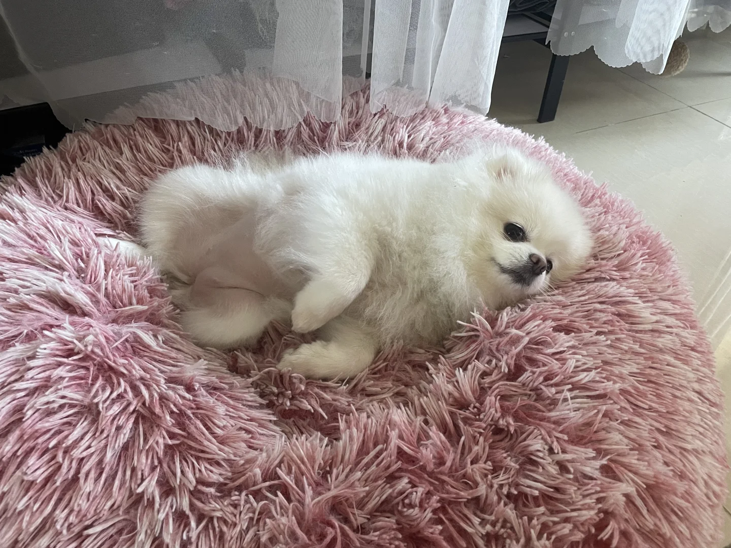 花了我四百大洋，现在舒服了