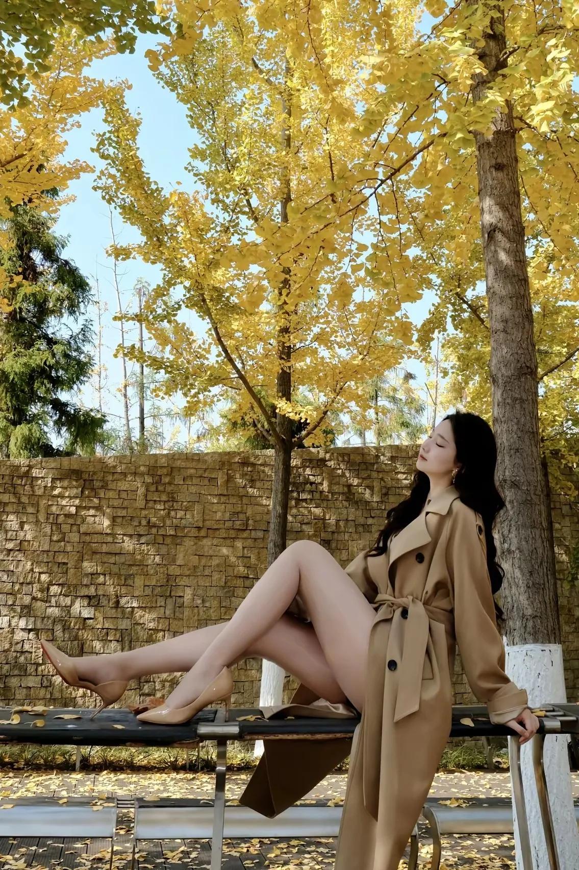 寒霜戏红叶，
冷露滴黄花。