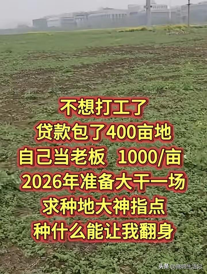 他是我朋友，大家有没有好的建议？