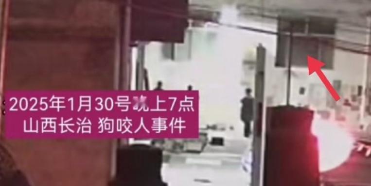 山西狗咬人后被摔死，狗主人带人上门打砸遭反杀案有了新进展。虽说一审并未做出判决，