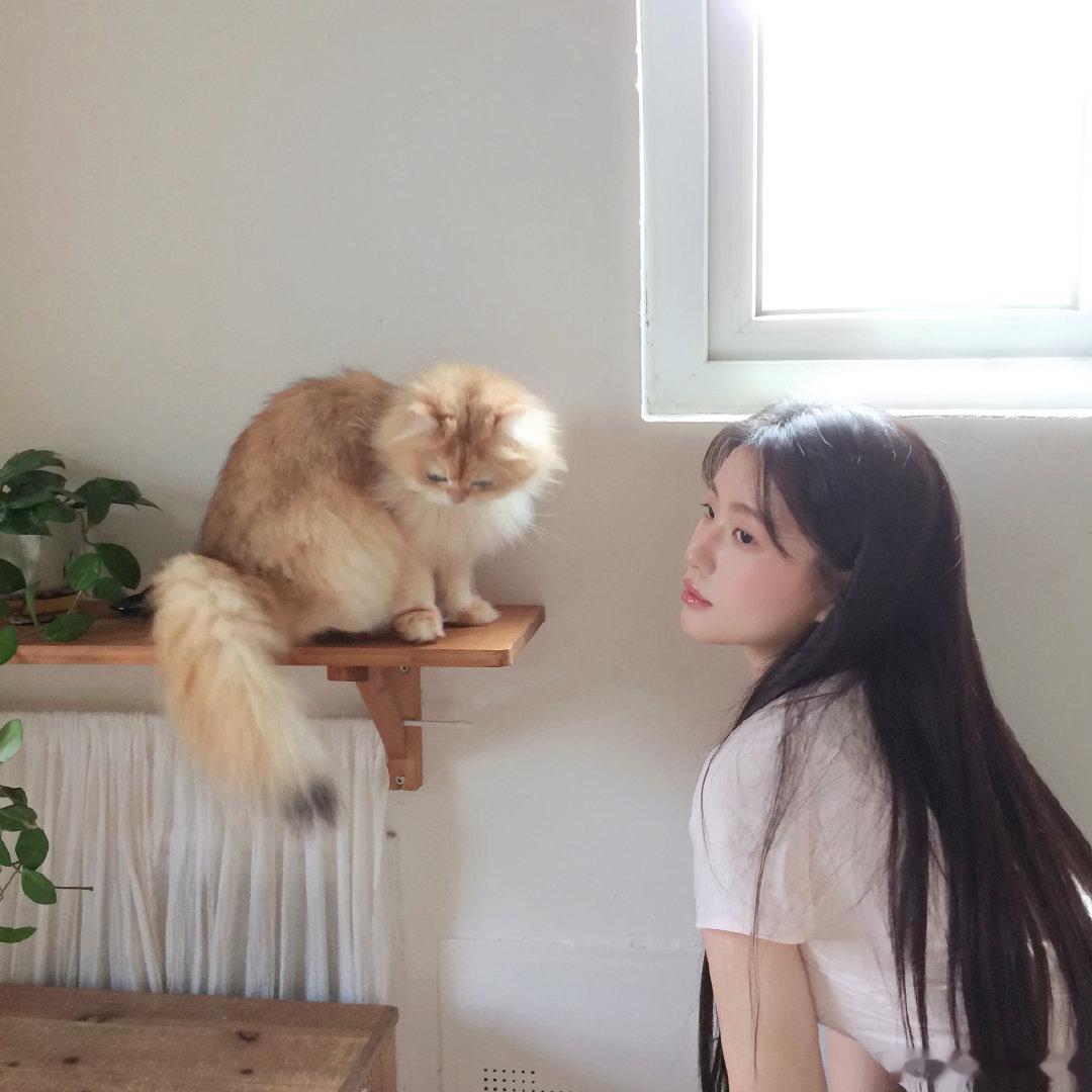柔软的🌞上海约拍少女写真