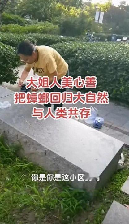 8月5日，一名中年女性在小区花坛中释放活体蟑螂，这个过程被网友录下来，在网上引起