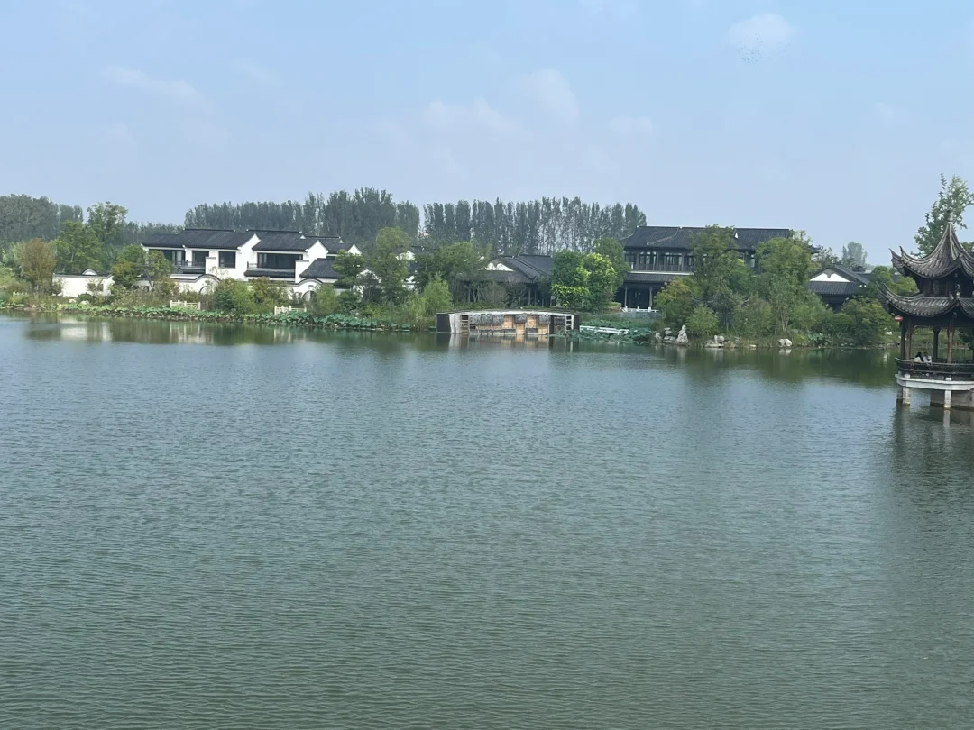 2025年郑东新区事业编分析