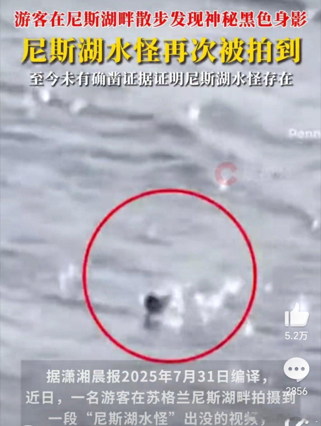 尼斯湖水怪再次被拍到都2025年了，怎么每次拍到奇异事件都是这种清朝像素[黑线]