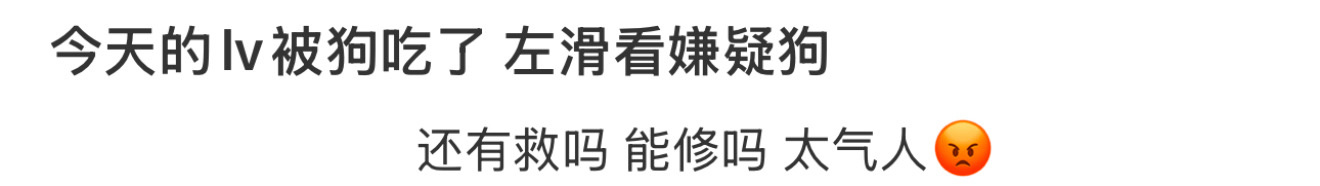 今天的lv被狗吃了 左滑看嫌疑狗 