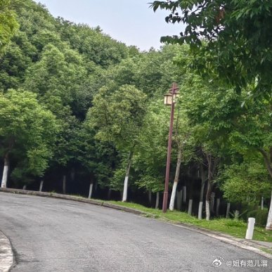 以前总觉得“朋友多”是种本事，通讯录三千人，每条朋友圈点赞都生怕漏掉谁。结果上周