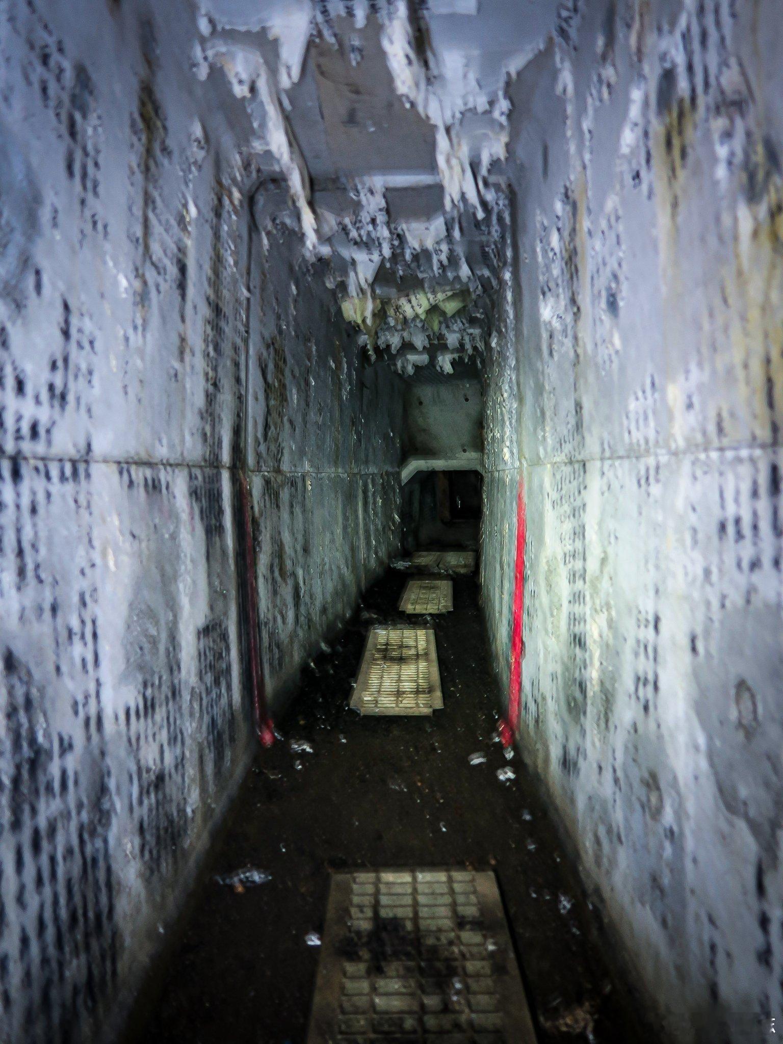 这条布满经文的地下通道，位于日本山阴地区鸟取县的旧池田家宅遗址下方，是江户时代末