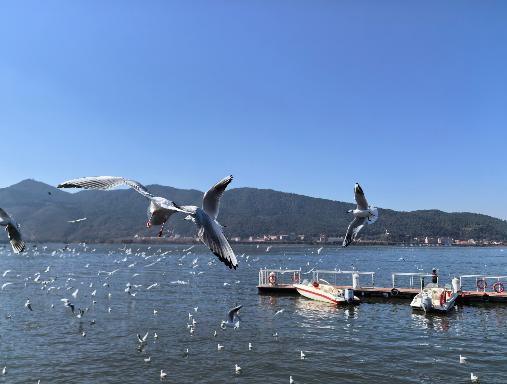 现在欧美之间的分歧正在加大，据外媒报道，美国将从负责监督和规划北约军事和情报行动