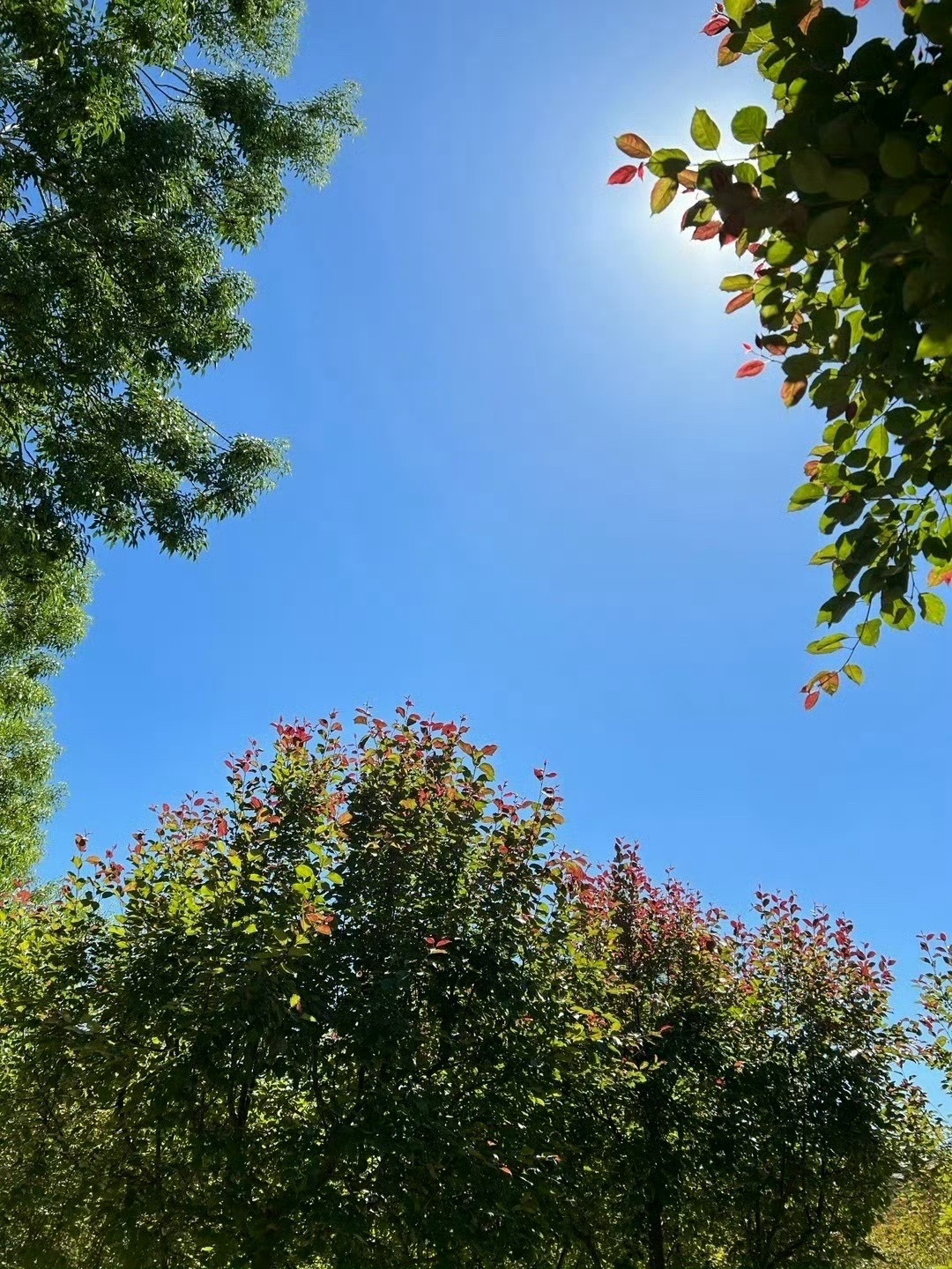 人生是一场巨大的塞翁失马，祸福相依。你以为你错过的人，很有可能是你躲过的一劫。失