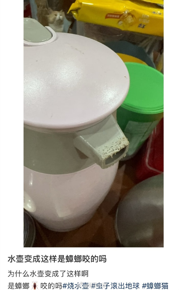 水壶变成这样是蟑螂咬的吗 ​​​