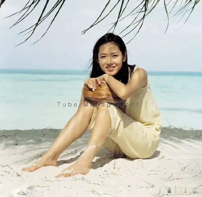首尔一枝花