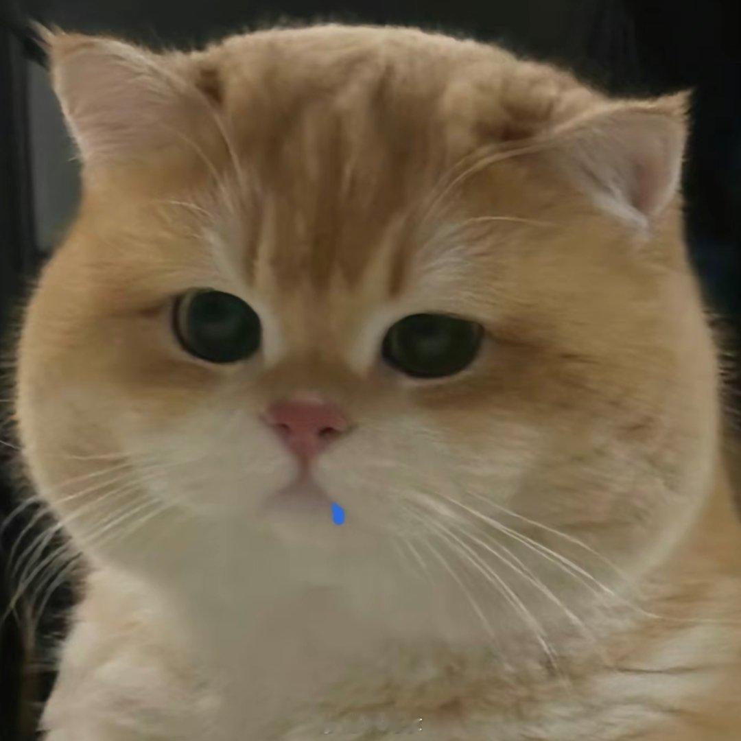 诶嘿，昨晚睡得好早！靴靴大家的关心~我们不如想想今天吃什么！你们早餐一般吃啥，我
