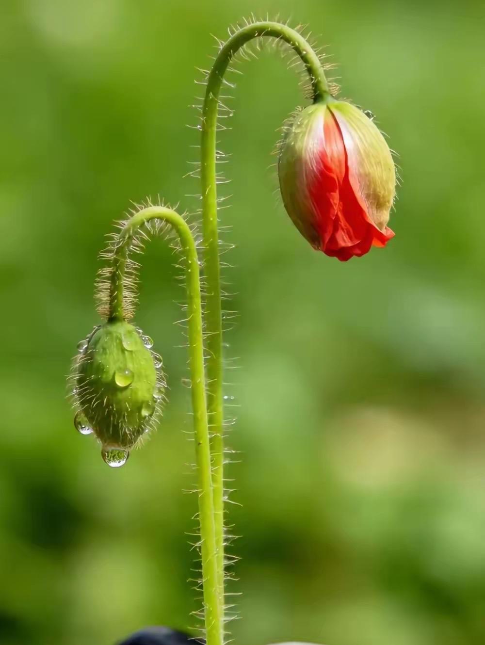 女人一生，
最大的两个遗憾，
一是没有上过大学，
一是没有嫁给爱情。

我楼下的