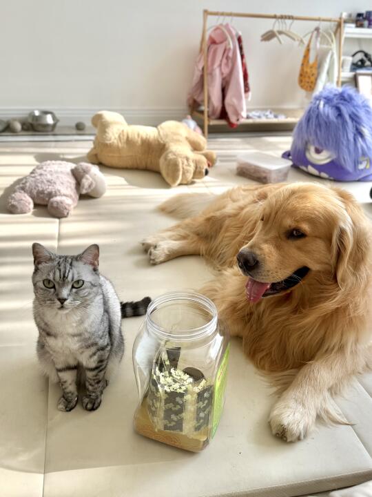 突然发现长大真的是一件特别特别爽的事情