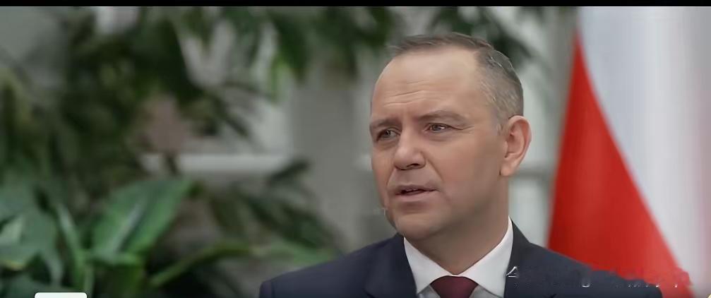 波兰总统纳夫罗茨基最近放了个挺猛的话：公开支持波兰搞自己的核项目，理由也很直白—