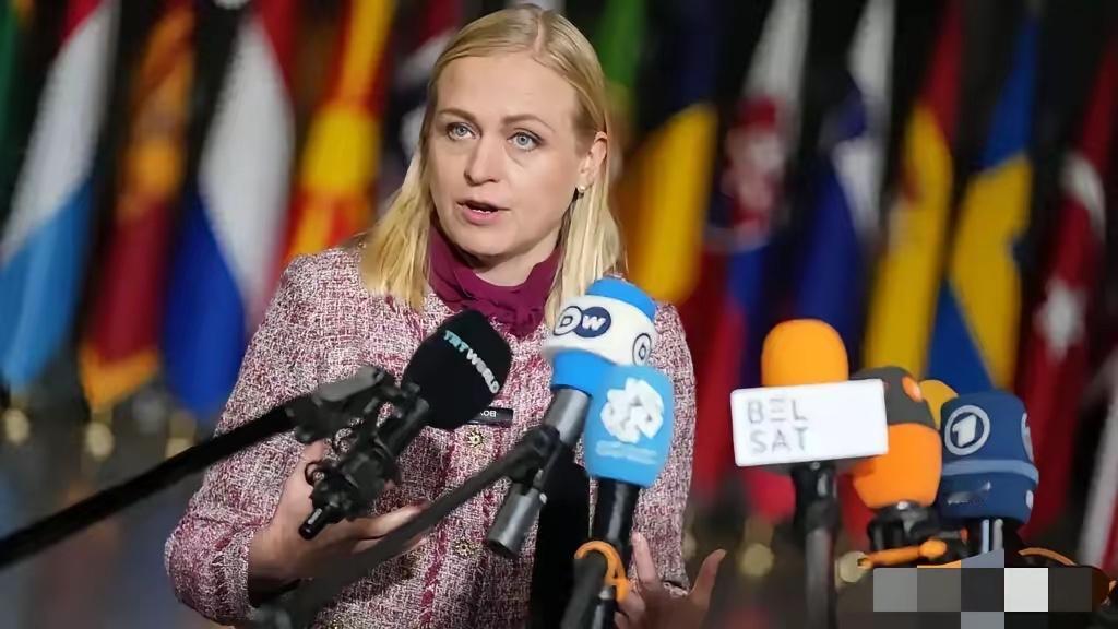 芬兰女外长发表极端对华言论，公然逼中国二选一！中方硬气回应，直接戳破了对方的地缘