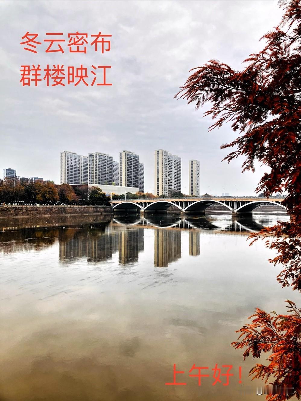 分享一张最近随手拍的照片