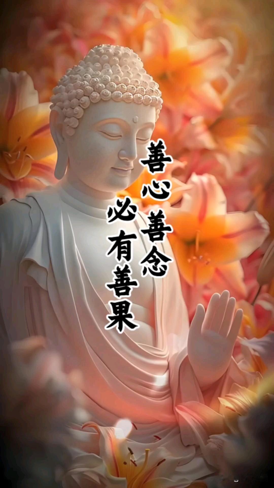 人这一辈子，一定要明白一个最简单的道理：善行必结善果，恶行必生恶果。
 
做人常