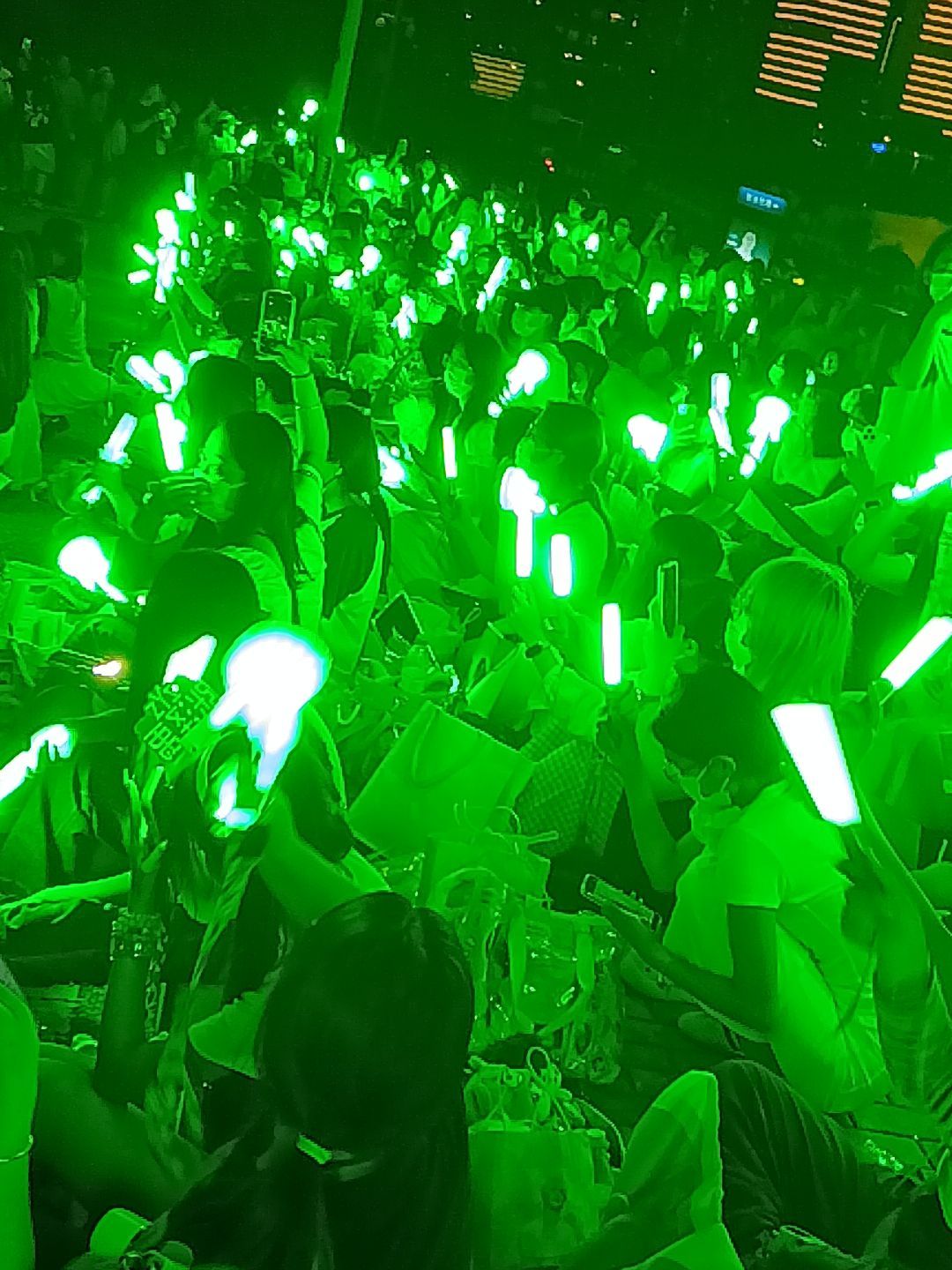 不敢想象要是场外的宝丝都进去了场内还有多绿 
