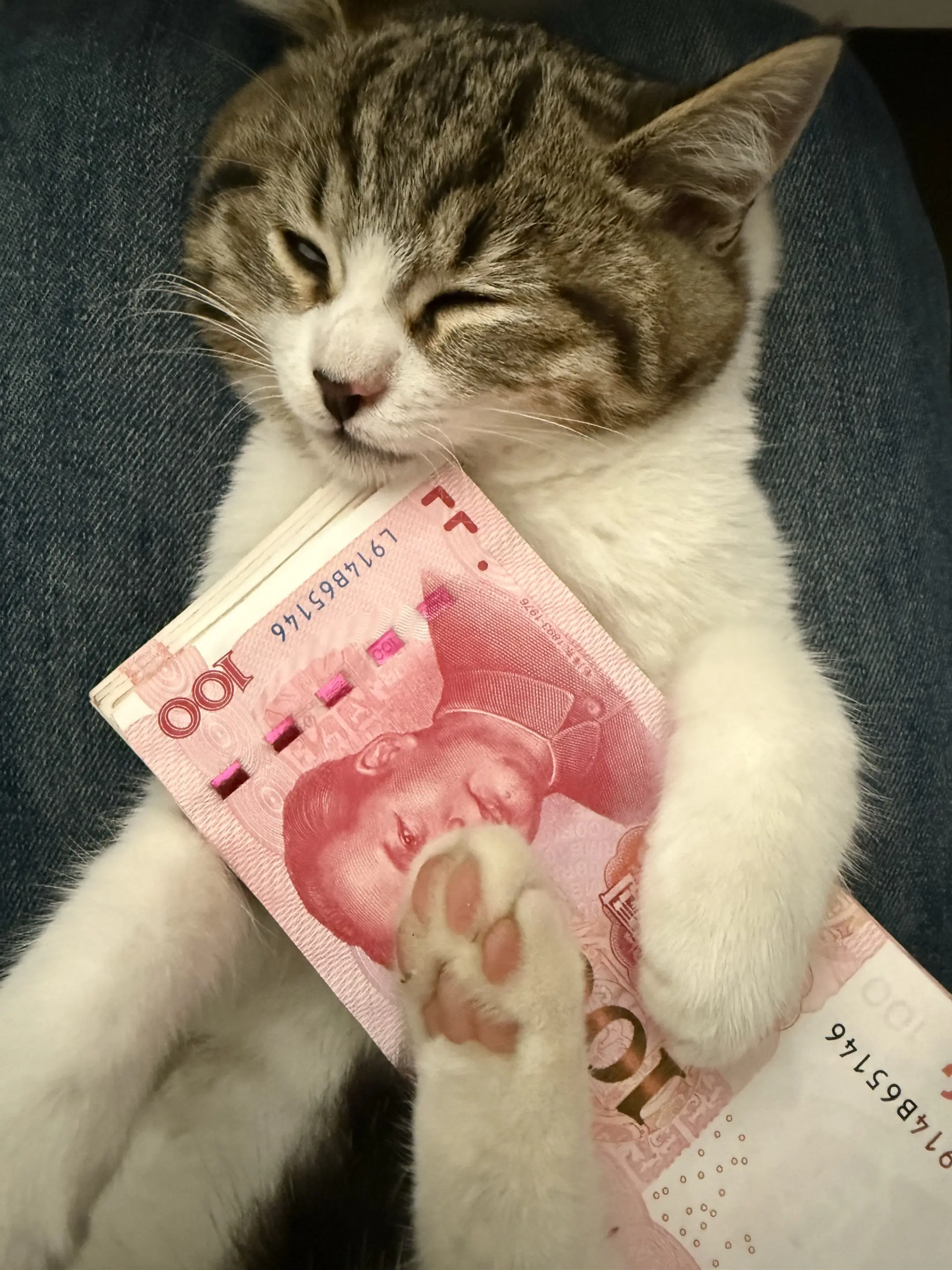 喜欢这种忙到飞起的生活